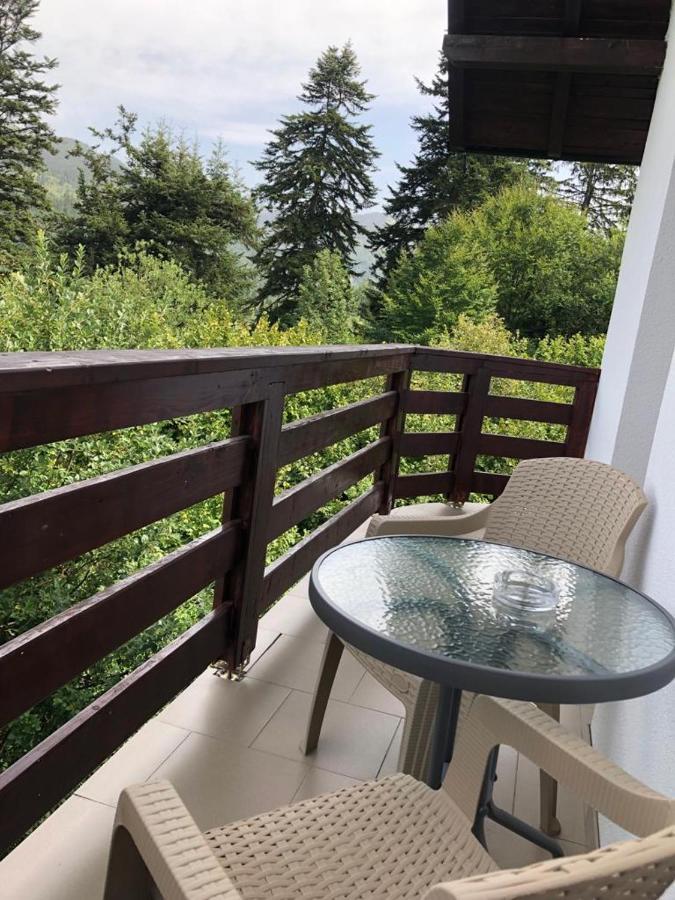 Casa Viorica Hotel Borşa Exterior foto
